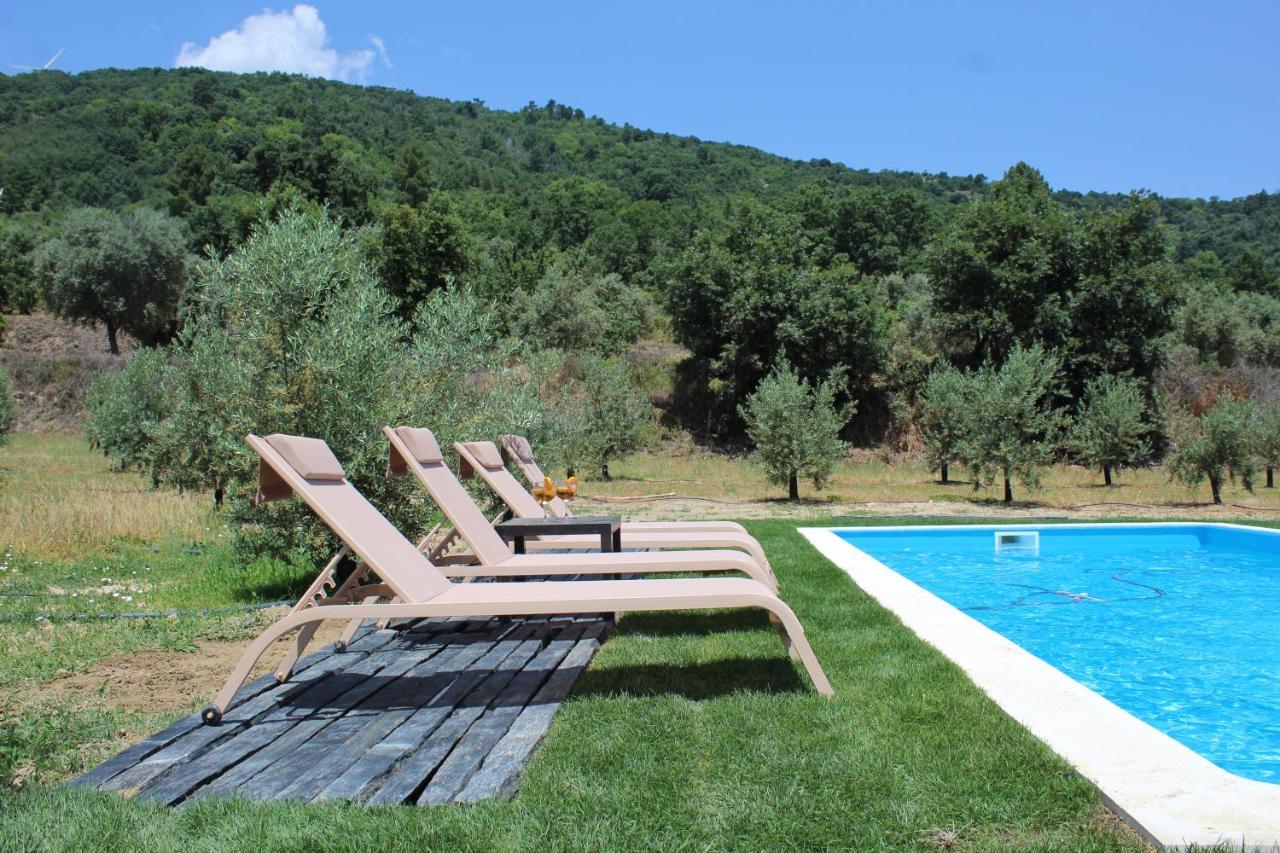 Casa Das Saras Villa Goncalo  Екстериор снимка